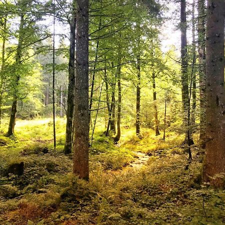 Ferienwohnung - Missen-Wilhams Allgaeu Zewnętrze zdjęcie
